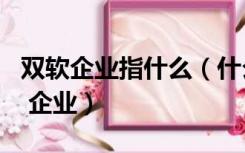 双软企业指什么（什么叫 ldquo 双软 rdquo 企业）