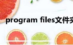 program files文件夹里面哪些东西可以删