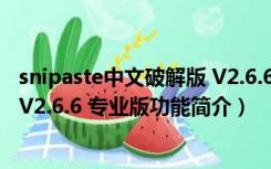 snipaste中文破解版 V2.6.6 专业版（snipaste中文破解版 V2.6.6 专业版功能简介）