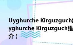 Uyghurche Kirguzguch维语输入法 V6.74 免费PC版（Uyghurche Kirguzguch维语输入法 V6.74 免费PC版功能简介）