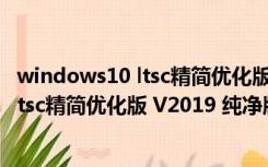 windows10 ltsc精简优化版 V2019 纯净版（windows10 ltsc精简优化版 V2019 纯净版功能简介）