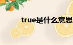 true是什么意思false是什么意思