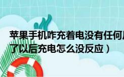 苹果手机咋充着电没有任何反应了（话说苹果手机没电彻底了以后充电怎么没反应）