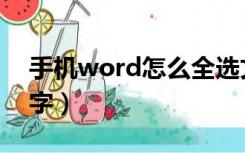 手机word怎么全选文字（word怎么全选文字）