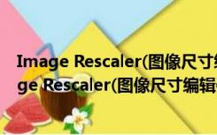 Image Rescaler(图像尺寸编辑器) V1.1 官方免费版（Image Rescaler(图像尺寸编辑器) V1.1 官方免费版功能简介）