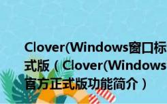 Clover(Windows窗口标签化工具) V3.5.2.19809 官方正式版（Clover(Windows窗口标签化工具) V3.5.2.19809 官方正式版功能简介）