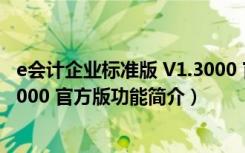 e会计企业标准版 V1.3000 官方版（e会计企业标准版 V1.3000 官方版功能简介）