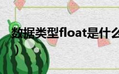 数据类型float是什么意思（float是什么意思）