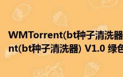 WMTorrent(bt种子清洗器) V1.0 绿色免费版（WMTorrent(bt种子清洗器) V1.0 绿色免费版功能简介）