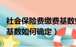 社会保险费缴费基数如何确定（社会保险缴费基数如何确定）