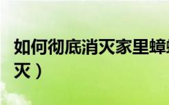 如何彻底消灭家里蟑螂（家里蟑螂怎么彻底消灭）