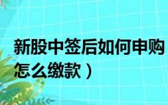 新股中签后如何申购（新股申购新规则中签后怎么缴款）