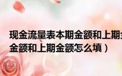 现金流量表本期金额和上期金额怎么填写（现金流量表本期金额和上期金额怎么填）