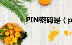 PIN密码是（pin是什么密码）