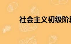 社会主义初级阶段的基本特征是()