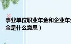 事业单位职业年金和企业年金有什么区别（事业单位职业年金是什么意思）