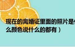 现在的离婚证里面的照片是什么颜色（离婚证照片到底是什么颜色说什么的都有）