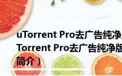 uTorrent Pro去广告纯净版 V3.5.5.45972 中文绿色版（uTorrent Pro去广告纯净版 V3.5.5.45972 中文绿色版功能简介）