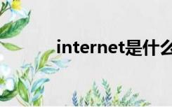 internet是什么意思（intern）