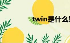 twin是什么意思（twin）