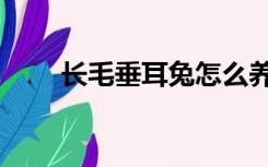 长毛垂耳兔怎么养（垂耳兔怎么养）