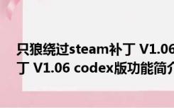 只狼绕过steam补丁 V1.06 codex版（只狼绕过steam补丁 V1.06 codex版功能简介）