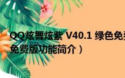 QQ炫舞炫紫 V40.1 绿色免费版（QQ炫舞炫紫 V40.1 绿色免费版功能简介）