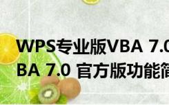 WPS专业版VBA 7.0 官方版（WPS专业版VBA 7.0 官方版功能简介）