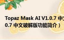 Topaz Mask AI V1.0.7 中文破解版（Topaz Mask AI V1.0.7 中文破解版功能简介）