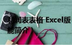 利润表表格 Excel版（利润表表格 Excel版功能简介）