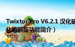 Twixtor Pro V6.2.1 汉化破解版（Twixtor Pro V6.2.1 汉化破解版功能简介）