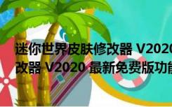 迷你世界皮肤修改器 V2020 最新免费版（迷你世界皮肤修改器 V2020 最新免费版功能简介）