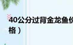 40公分过背金龙鱼价格（过背金龙鱼鱼苗价格）