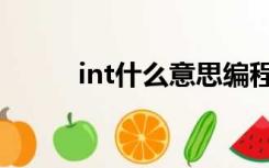 int什么意思编程（int什么意思）