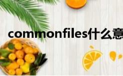 commonfiles什么意思（common files）