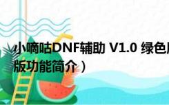 小嘀咕DNF辅助 V1.0 绿色版（小嘀咕DNF辅助 V1.0 绿色版功能简介）