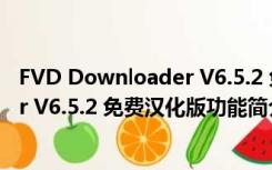 FVD Downloader V6.5.2 免费汉化版（FVD Downloader V6.5.2 免费汉化版功能简介）