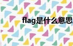 flag是什么意思（fj是什么意思）