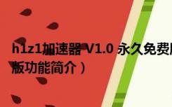 h1z1加速器 V1.0 永久免费版（h1z1加速器 V1.0 永久免费版功能简介）