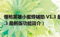 爆枪英雄小蜜蜂辅助 V1.3 最新版（爆枪英雄小蜜蜂辅助 V1.3 最新版功能简介）