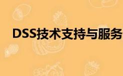 DSS技术支持与服务（北京现代dss系统）