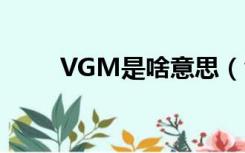 VGM是啥意思（vgm是什么意思）