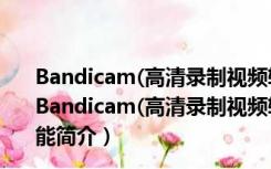 Bandicam(高清录制视频软件) V5.3.0.1879 汉化破解版（Bandicam(高清录制视频软件) V5.3.0.1879 汉化破解版功能简介）