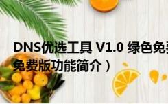 DNS优选工具 V1.0 绿色免费版（DNS优选工具 V1.0 绿色免费版功能简介）