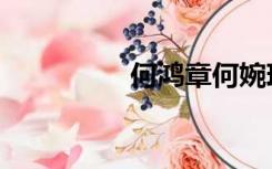 何鸿章何婉琪（何鸿章）