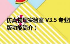 仿真物理实验室 V3.5 专业版（仿真物理实验室 V3.5 专业版功能简介）