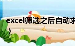 excel筛选之后自动求和（excel筛选自动求和）