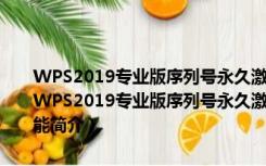 WPS2019专业版序列号永久激活版 V11.8.2.11716 集成序列号版（WPS2019专业版序列号永久激活版 V11.8.2.11716 集成序列号版功能简介）