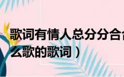 歌词有情人总分分合合（情人总分分合合是什么歌的歌词）