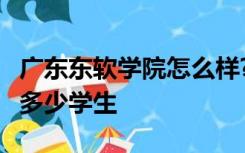 广东东软学院怎么样?好不好?广东东软学院有多少学生